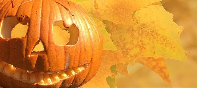halloween-gece73ccea_640.jpg
