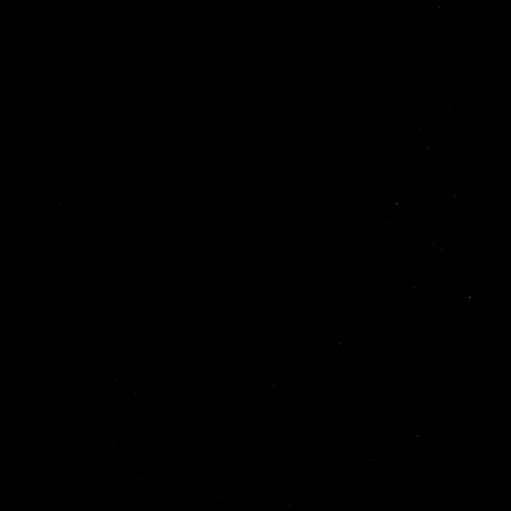 output2.gif